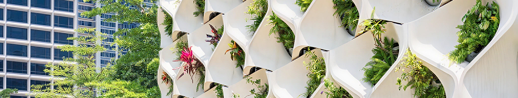 How Has Sustainable Architecture & Design Always Been With Us?