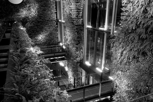Reconnecting with Nature: Biophilia in Sustainable and Green Architecture