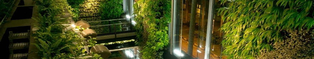 Reconnecting with Nature: Biophilia in Sustainable and Green Architecture