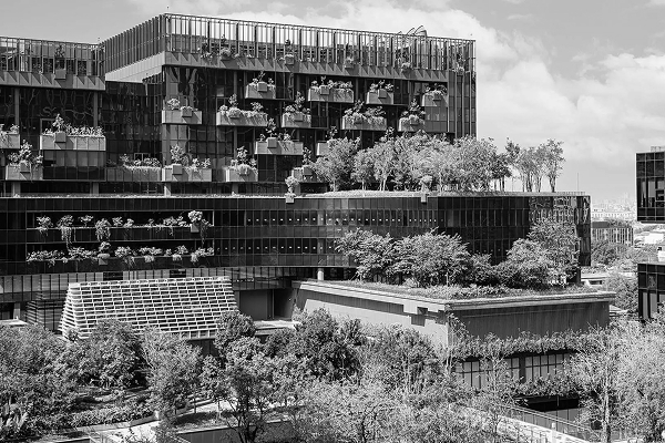LEED, IGBC & GRIHA: Breaking Down Green Building Certifications in India