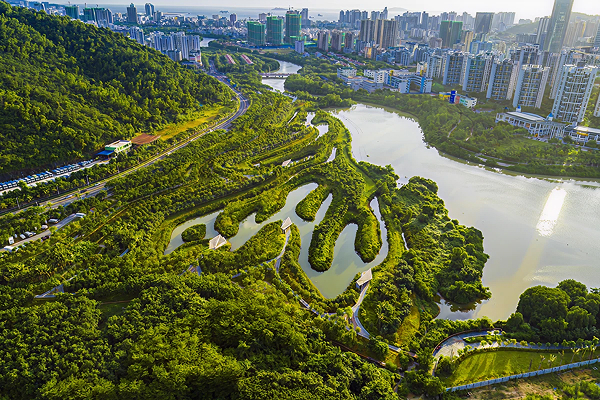 Green Infrastructure in Cities: Designing Urban Spaces for a Resilient Future