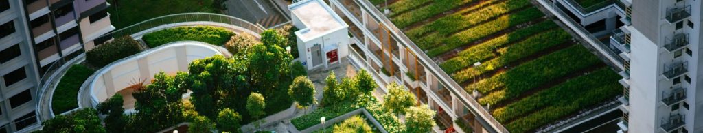 Buildings with Green Roofs: Benefits, Types & Design