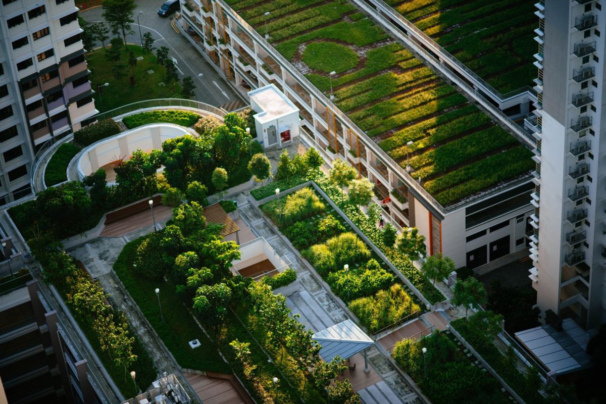 Buildings with Green Roofs: Benefits, Types & Design