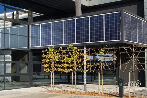 Top Energy-Efficient Buildings Defining Modern Architecture